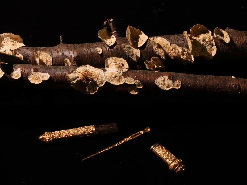 Impressive gold French pre-Victorian needle case with original needle (image 10 of 15)